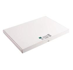 etui 100 steekkaarten bristol - effen niet geperforeerd 297x420mm - Wit