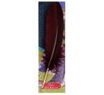 PLUME D'OIE+PLUME METAL SUR BROCH