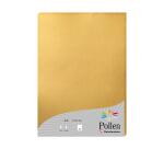 Etui de 25 feuilles Pollen 210x297 210g/m2