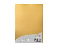 Etui de 25 feuilles Pollen 210x297 210g/m2 - Or