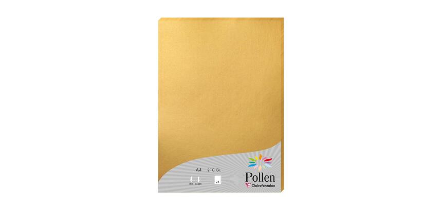 Etui de 25 feuilles Pollen 210x297 210g/m2