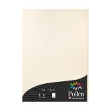 Etui de 50 feuilles Pollen 210x297mm 120g/m2 - Ivoire irisé