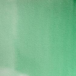 Aquarelle extra-fine godet géant - Vert blockx