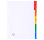 Intercalaires 5 positions A4 carte blanche + onglets couleurs imprimées - Blanc