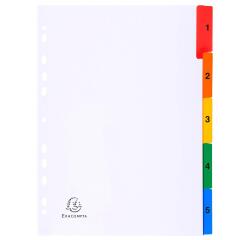 Intercalaires 5 positions A4 carte blanche + onglets couleurs imprimées - Blanc