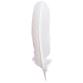 Plumes d'oie taillées 28cm