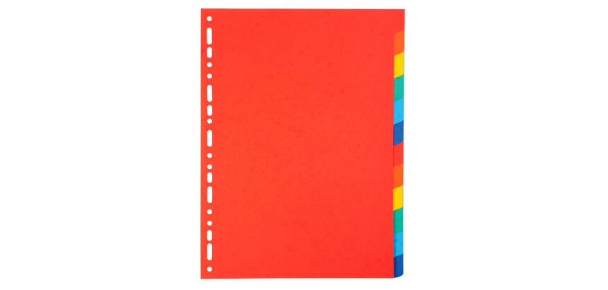 Tabbladen gerecycleerd karton 220g - 12 tabs - A4 - Geassorteerd