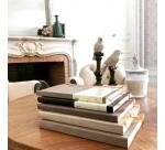 Rhodiarama carnet souple A5 160 pages dot papier ivoire 90g fermeture élastique - Chocolat