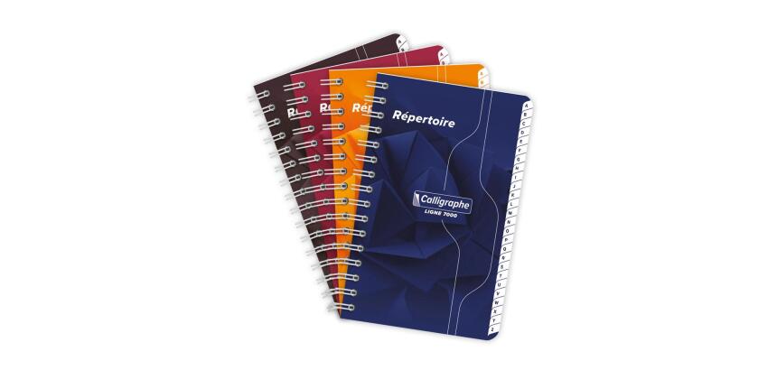 Répertoire reliure intégrale 7000 9x14 cm 180 pages petits carreaux 70 g - Assortis
