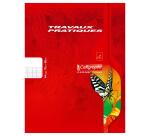 Cahier Travaux Pratiques piqué 7000 17x22 cm 64 pages grands carreaux 70 g + uni 90 g - Assortis