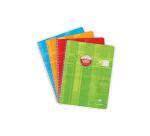 Cahier reliure intégrale déficients visuels 24x32cm 100 pages grands carreaux noirs 2,5mm agrandis 10x10 Couleur aléatoire - Assortis