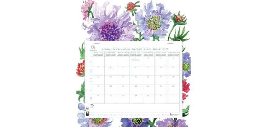 Calendrier mensuel EasyCal Fleurs avec feuillets détachables 24 x 18 cm agrafé sur plaque cartonnée imprimée 27,5 x 30,5 cm 2026 - Visuels assortis