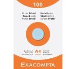 Pk 100 Exa Record Cards 210x297 5/5 Ast - Assorted colours