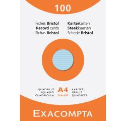 Pk 100 Exa Record Cards 210x297 5/5 Ast - Assorted colours