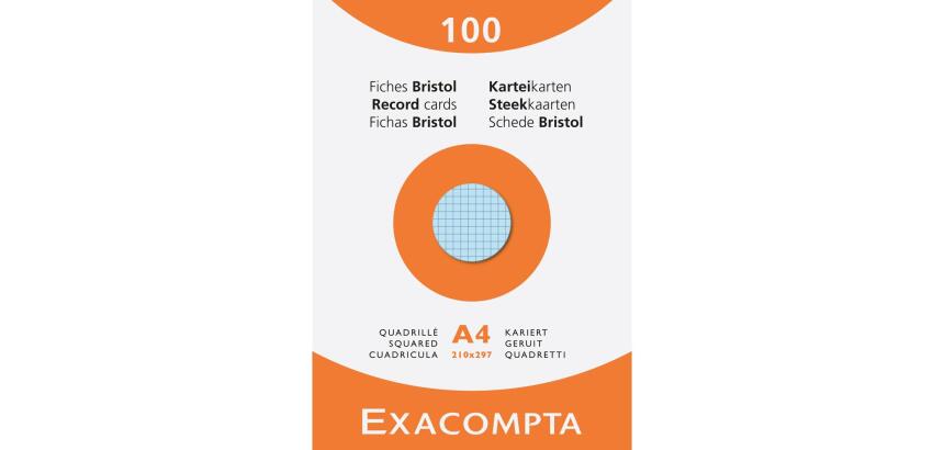 Pk 100 Exa Record Cards 210x297 5/5 Ast - Assorted colours