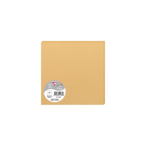 Paquet de 25 cartes simples Pollen 160 x 160 mm 210 g/m2