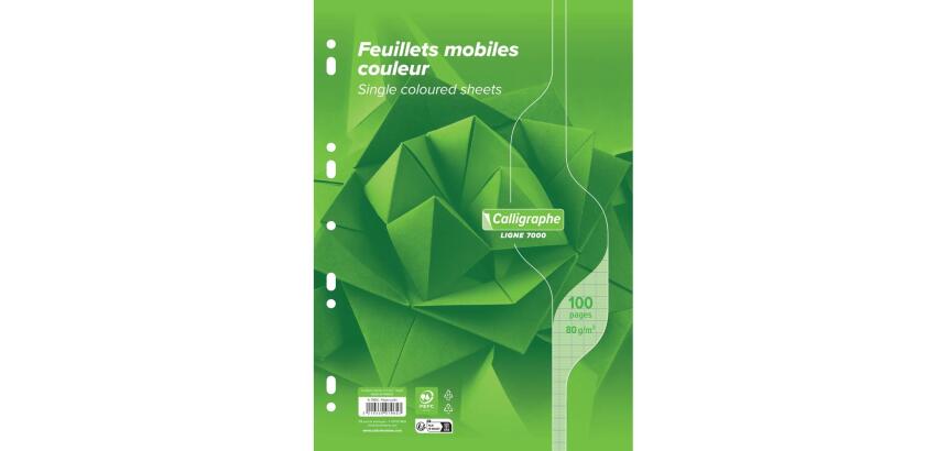 Feuillets mobiles sous film 7000 A4 100 pages perforées grands carreaux 80 g