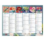 Calendrier Sophie Adde avec illustrations 29,5 x 22 cm Semestriel 2026 - Visuel