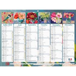 Calendrier Sophie Adde avec illustrations 29,5 x 22 cm Semestriel 2026 - Visuel