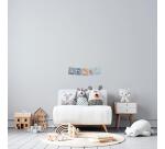 Kit fotográfico (con expositor) 150 cm - 6 juegos de 30 kits de fotos con cordón - Multicolor