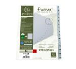 Separadores Separadores con pestañas impresas polipropileno 12/100º - Gris - Gris