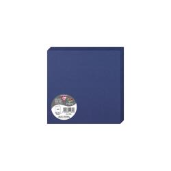 Paquet de 25 cartes pliées Pollen 160x160mm 210g/m2