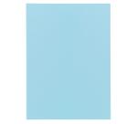 Paquete de 100 Subcarpetas de papel Exacompta SUPER 60 g/m2 - Colores surtidos