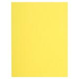 Pk 100 Sq. Folders Flash 220g Ast