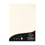 BLANC NATUREL, Etui de 50 feuilles Pollen 210x297mm 120g/m2 - Blanc naturel