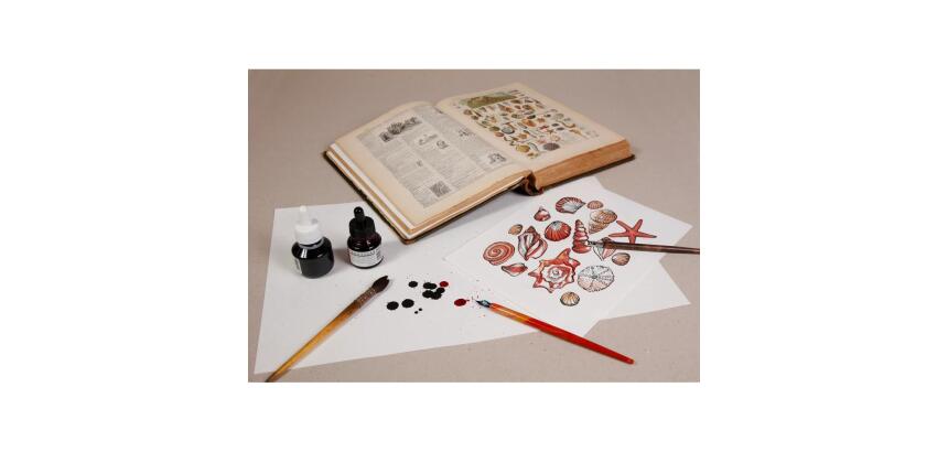 Buvard paquet 50F A3 250g