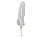 PLUME D'OIE+PLUME METAL SUR BROCH