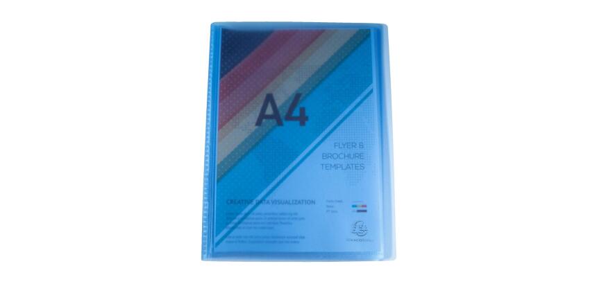 "Display Book Translucent PP Welded, A4" - Assorted colours