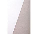 Carton Mi-fin 1,0mm 10F 50x65cm 600g - Blanc et gris