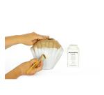 Vase coquillage - Kraft