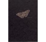Flying Spirit carnet dos carré 60F 19x25cm 90g - Noir