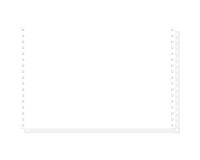 "1000 feuilles de listing autocopiantes blanc 330x8 1/2"" 2plis Bandes Caroll Détachables" - Blanc