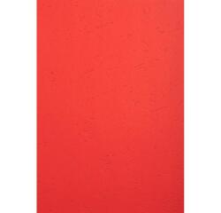 Pak van 25 inbindkaften Forever® 270g/m2 - A4 - Geassorteerd