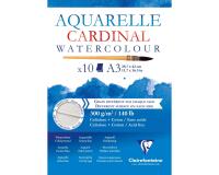 Cardinal bloc collé 10F A3 300g