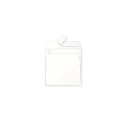 Carton de 200 enveloppes Pollen 165x165mm 120g/m²