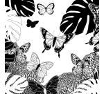 COLORIAGE, Carnet de 36 pages 120g/m² au format 20x20cm - Papillons