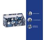 Cyanotype, Porte lettres 25x10x14 cm