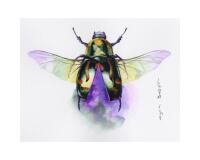 Etival paquet 10F 56x76cm 200g grain fin