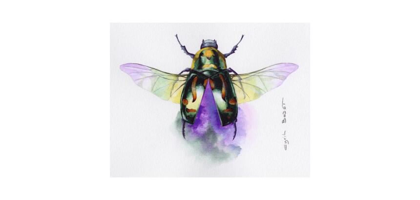 Etival paquet 10F 56x76cm 200g grain fin