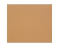 Tulipe Tekenpapier etui van 50 blad 160g A3 (29,7x42cm).