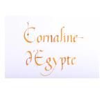Encre 1798 à paillettes argentées - Cornaline d’Egypte
