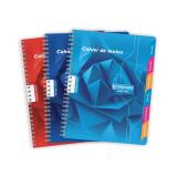 Textes reliure intégrale 7000 17x22 cm 100 pages grands carreaux 70 g - Assortis