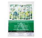 Sachet 12 feuil Delta 270g -27,9x35,5cm - Ivoire