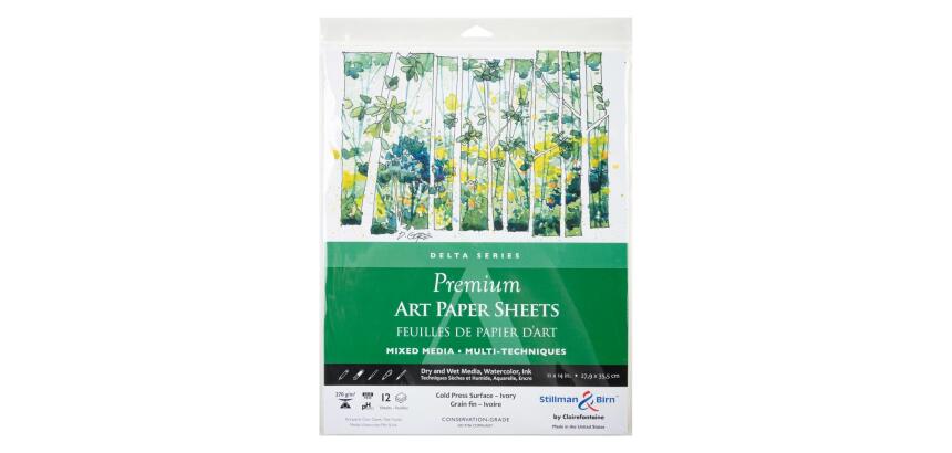 Sachet 12 feuil Delta 270g -27,9x35,5cm - Ivoire