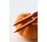 Rhodia scRipt portemine 0,5 mm - Orange