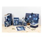 Cyanotype, Carton à dessin 28x38cm, fermeture avec 3 rubans